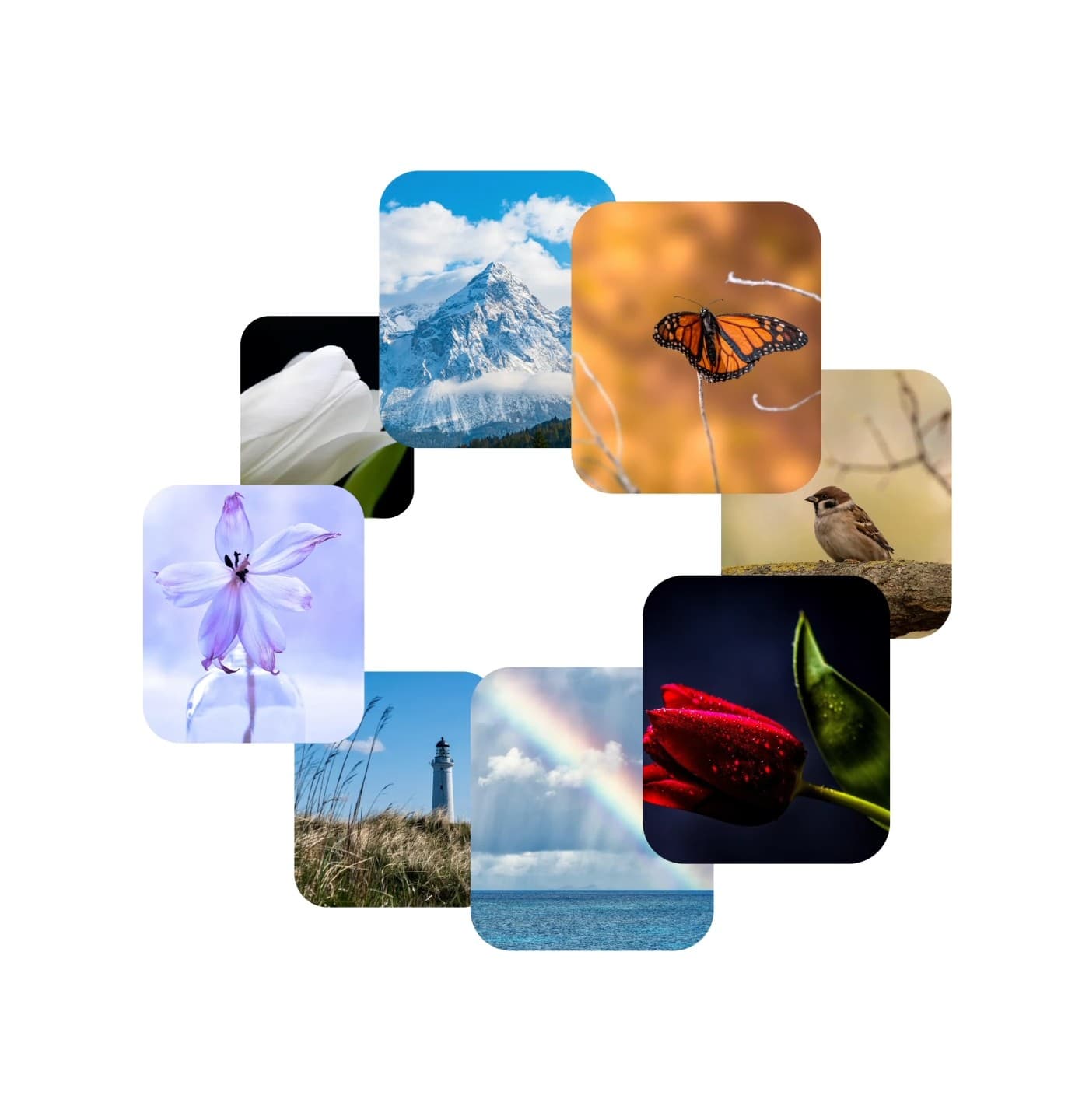 Save and organize your favorites